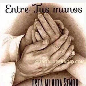 Meet your Posher, Ida